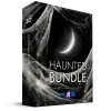 Haunted Brushes Bundle (48 Brushes)